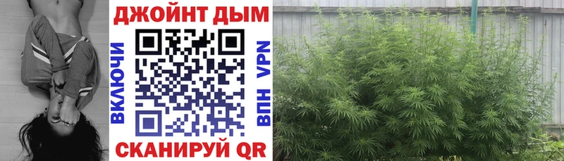 Наркошоп Улан-Удэ А ПВП  АМФ  Галлюциногенные грибы  ГАШ  Бошки Шишки  Меф мяу мяу  КОКАИН 