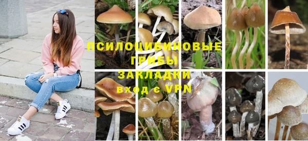 COCAINE Белоозёрский