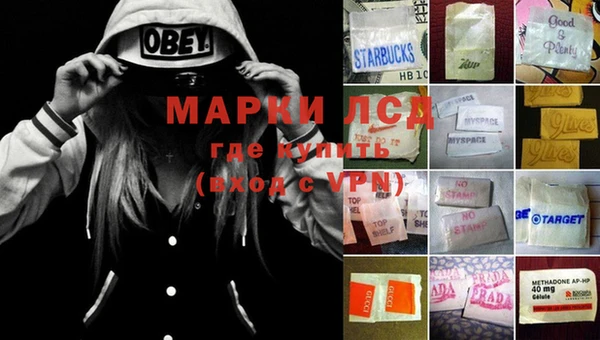 гидропоника Зеленокумск
