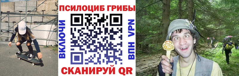 Галлюциногенные грибы прущие грибы Улан-Удэ